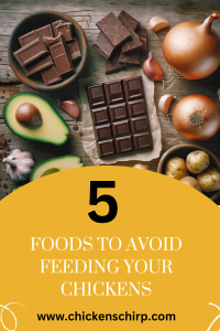 5 Foods To avoid feeding your chickens