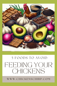Avoid feeding your chickens these 5 foods