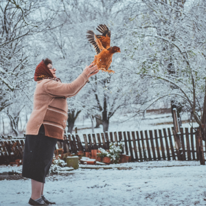 An elderly woman in a winter coat and headscarf releasing a chicken into the air in a snowy garden.