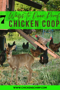 7 ways to deer proof your chicken coop