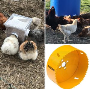 Chickens gathered around a custom-made feeder, created using a TOLSEN brand drill bit.