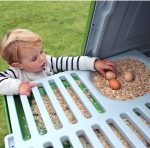 Toddler collecting eggs from the omlet chicken tractor.
